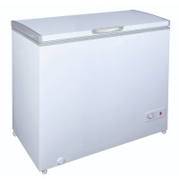 Ларь ASCOLI AWS-315C белый