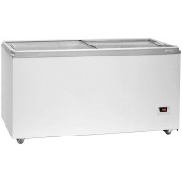 Ларь Бирюса 560VDZY