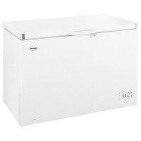 Ларь Renova FC-385 C