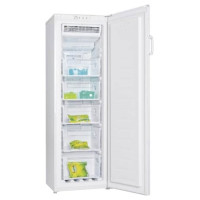 Морозильная камера LGEN TM-169 FNFS No Frost