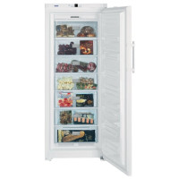 Морозильная камера Liebherr GN 3613