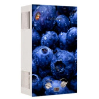 Газовая колонка VIVAT GLS 20-10 L NG (Черника)