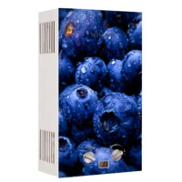 Газовая колонка VIVAT GLS 20-10 L NG