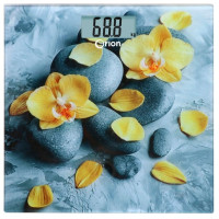 Весы ORION ВБН-ЭСП03