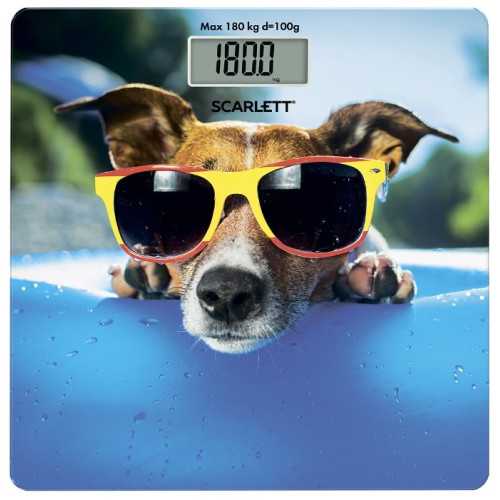 Весы Scarlett SC-BS33E091