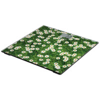 Весы StarWind SSP2355 рисунок макс.180кг