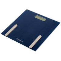 Весы Endever Aurora-550