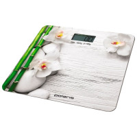 Весы Polaris PWS 1863DG рисунок