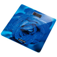 Весы HOMESTAR HS-6002C