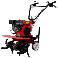 Культиватор бензо DDE V 800 II Крот-3