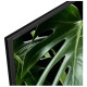 Телевизор SONY KDL-43WG665 BR
