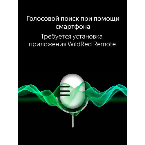 Телевизор TopDevice TDTV55CS06UBK черный