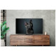 Телевизор OLED SAMSUNG QE-65S90CAUXRU 4K Smart  (Tizen)