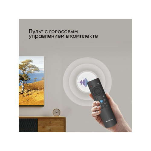 Телевизор TopDevice TDTV32CS03H_BK черный