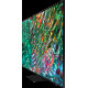 Телевизор Samsung QE75QN90BAUXCE
