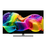 Телевизор Grundig 65 OLED GH 9700