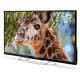 Телевизор POLARLINE 43PL51TC-FHD