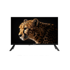 Телевизор TopDevice TDWC24BH2210I черный