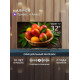 Телевизор HARPER 32F740TS