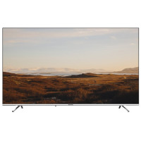 Телевизор Panasonic TX-55GXR600