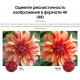 Телевизор SAMSUNG UE-50AU7100UXRU