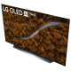 Телевизор LG OLED65CXRLA