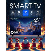 Телевизор Topdevice TDTV65ES13U_BK