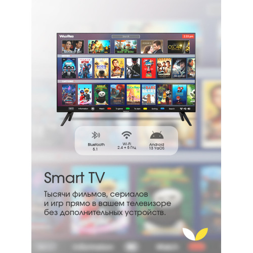 Телевизор Topdevice TDTV65ES13U_BK