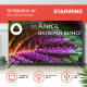 Телевизор Starwind SW-LED43SG300 Яндекс.ТВ