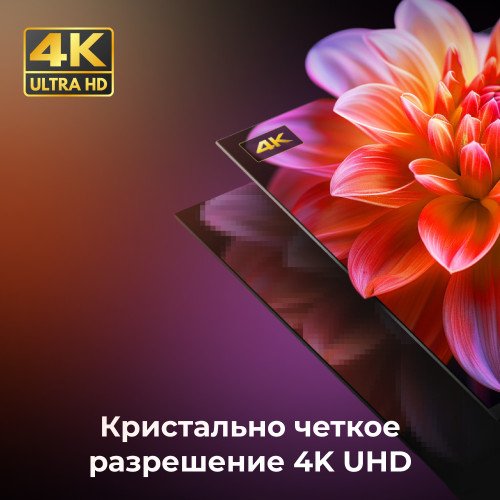 Телевизор Viomi YMD65C