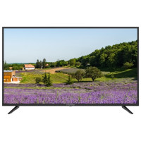 Телевизор STARWIND SW LED43SA303