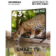  Телевизор Soundmax SM-LED43M02S черный