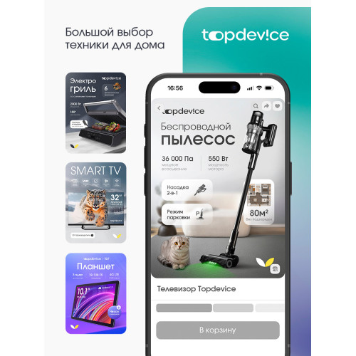 Телевизор TopDevice TDTV43CS03U_BK черный