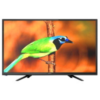 Телевизор Polar 24LTV5002 (24)