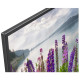 Телевизор SONY KDL43WF804BR