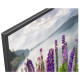 Телевизор SONY KDL-43WF805BR