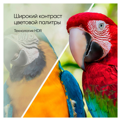 Телевизор Topdevice TDTV55DQ08UBK черный