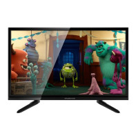 Телевизор StarWind SW-LED24R401BT2S