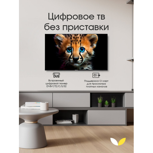 Телевизор Topdevice TDTV55ES13U_BK черный