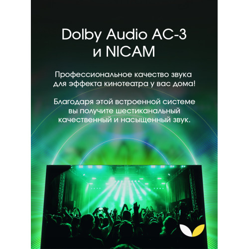 Телевизор Topdevice TDTV55ES13U_BK черный