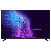 Телевизор IRBIS 43S01FD206B