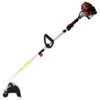 Триммер бенз. DDE GT250L 790-014