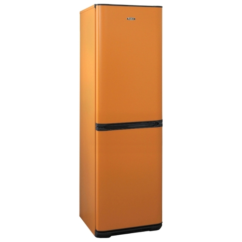 Холодильник Бирюса T340NF оранжевый