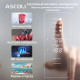 Двухкамерный холодильник Ascoli ADRFB345WE