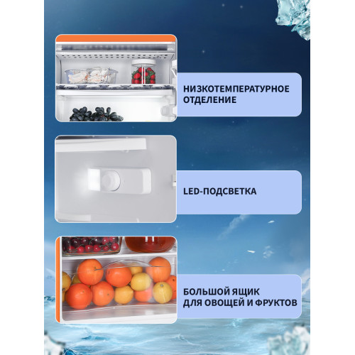 Холодильник NORD NR 403 Or