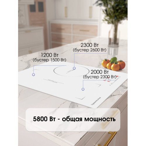 Варочная поверхность Zigmund & Shtain CI 49.4 W