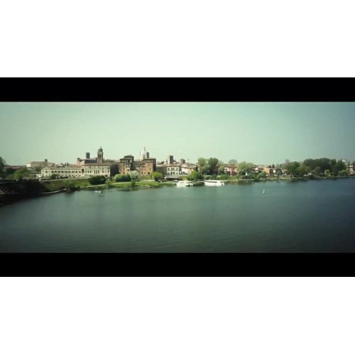 Варочная поверхность SMEG SE364ETBM 