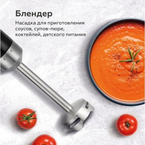 Блендер BQ HB533PS Black-Steel