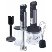 Блендер Rolsen SM-700MFP