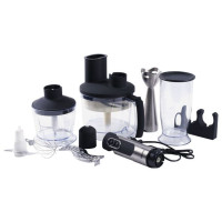 Блендер Rolsen SM-700MFS